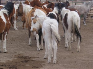 yup, we ARE looking at you